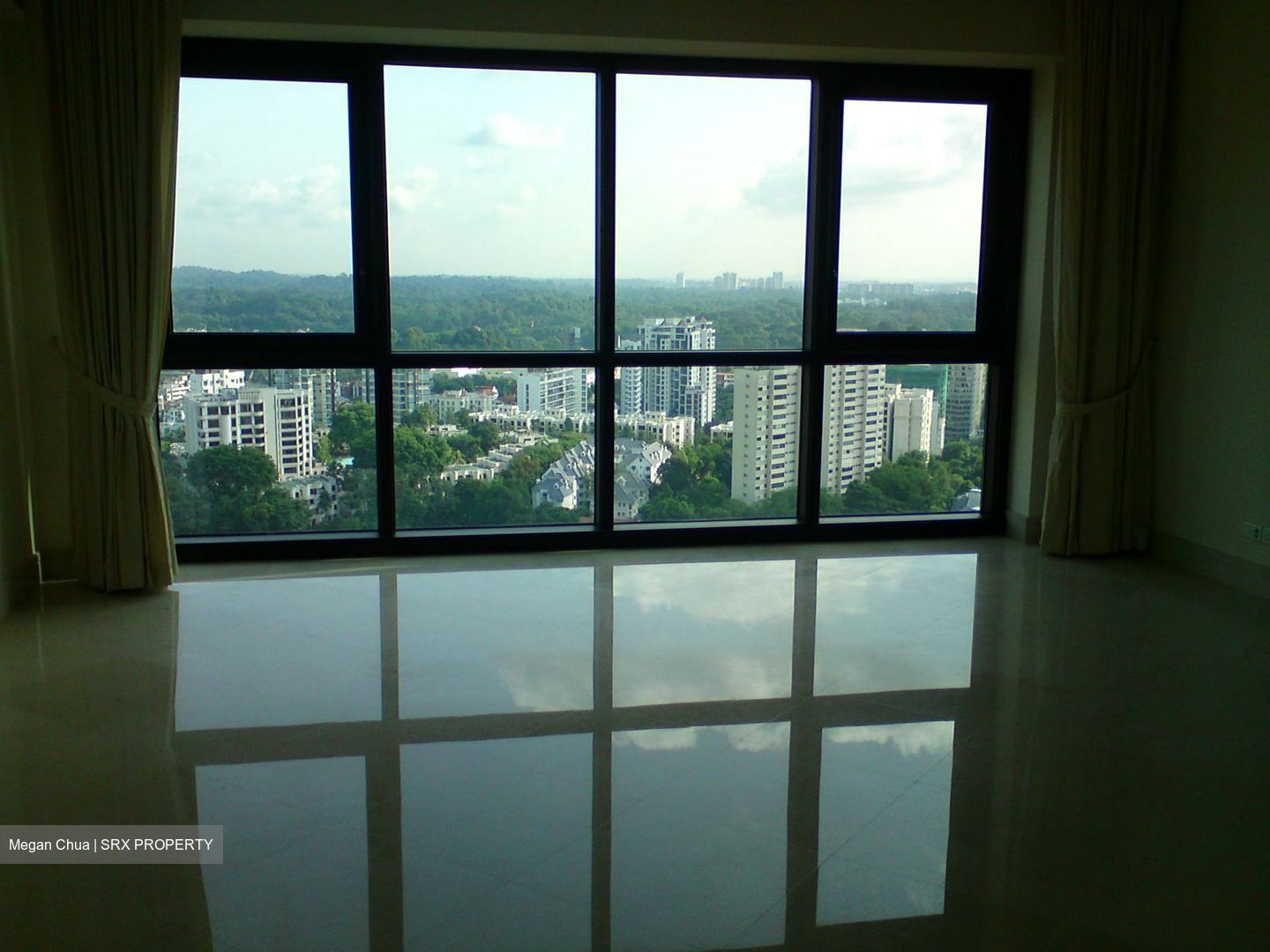 Ardmore Park (D10), Condominium #593705801